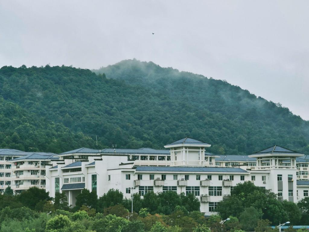 香港六典