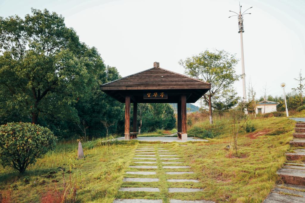 香港六典